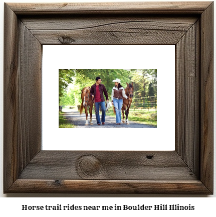 horse trail rides near me in Boulder Hill, Illinois